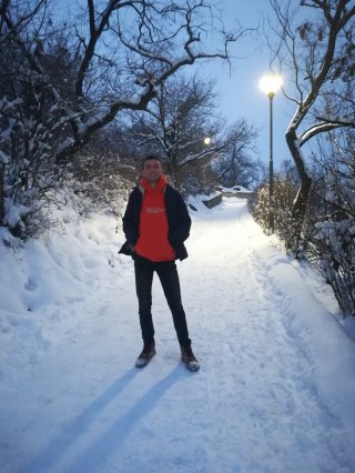 Михаел Михайлов