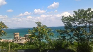 Даниела Петрова