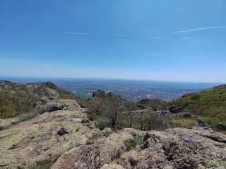 Марита Динкова