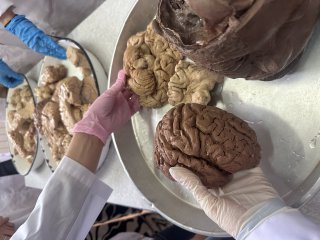 Гюлчин  Бахретин