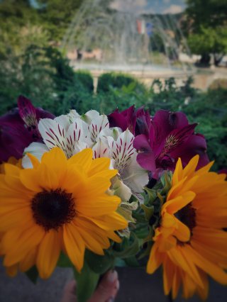 Нани  Стефанова