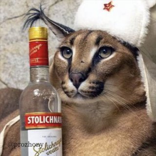 Калоян Пенов