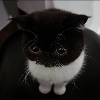 Мартин Михахлов