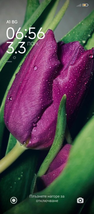 Йоана Гаджакова