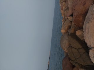 Елеонора Маркова