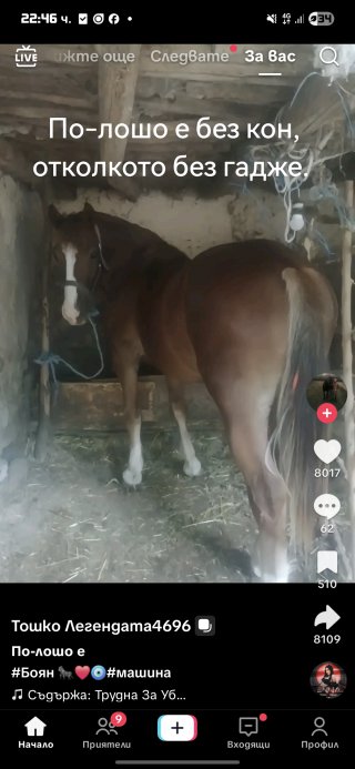 Иванши Мурад