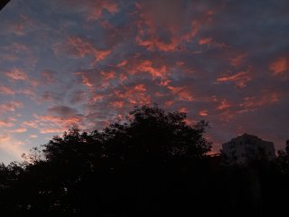 Джулия Георгиева