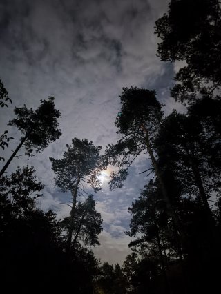 Лазарина Куцева