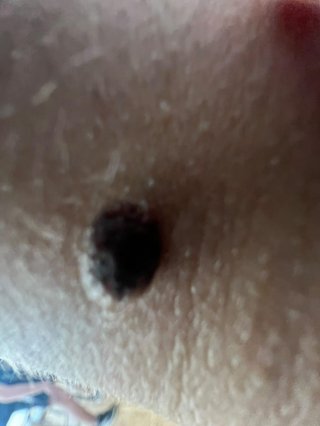 Калоян  Каракачанов