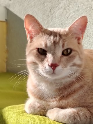 Марияна Боянова