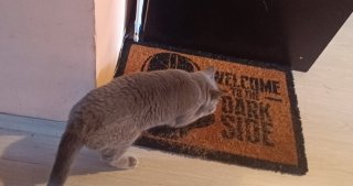 Иван Иванов