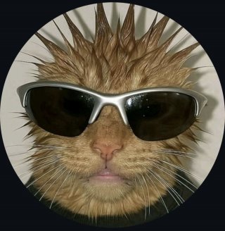 Виктор Занешев Виктор Занешев