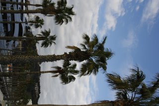 Стефания Радева