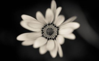 Мария Иванова