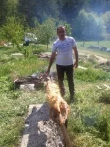 Адем Осман