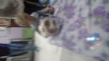 Мария Цветкова