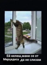 Росен Дръндев