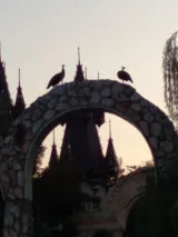 Таня Терзиева