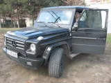 донна тошева