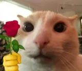 Александър Юрчиев