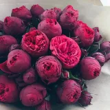 Мирослава Недялкова