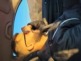 Йоанис Горанов