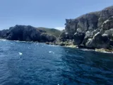 Светослав Пенев
