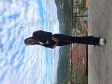 Беатрис Кирова