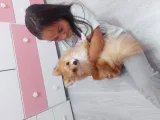 Анелия Димова