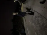 Станислава Радомирска