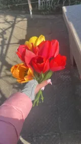 Валерия Томанова