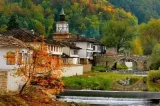 Таня Даскалова