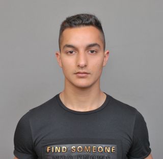 милен минев