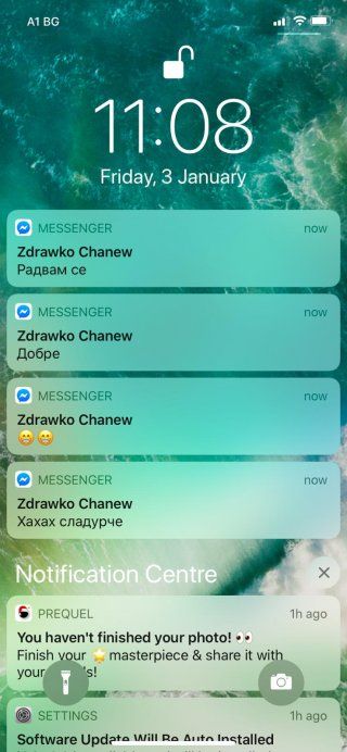 Николина Манова