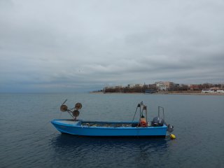 Юлия Триандопулу