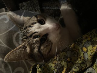 Ивана Михайловна