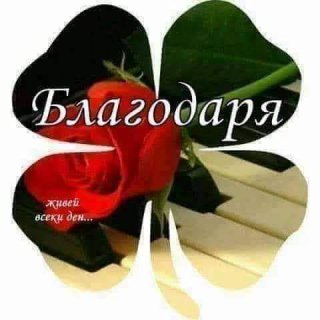 Соня Пулева